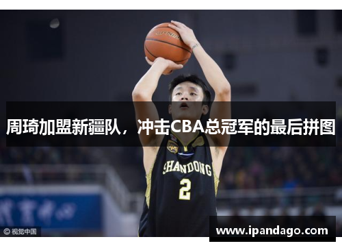 周琦加盟新疆队，冲击CBA总冠军的最后拼图