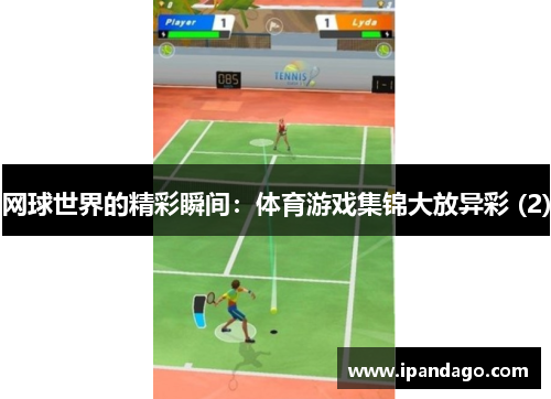 网球世界的精彩瞬间：体育游戏集锦大放异彩 (2)