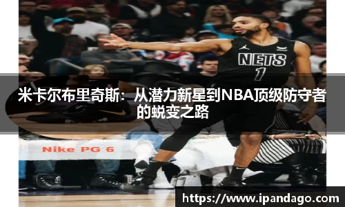 LD乐动
