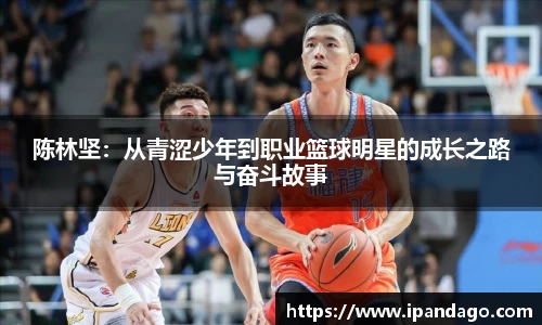 陈林坚：从青涩少年到职业篮球明星的成长之路与奋斗故事